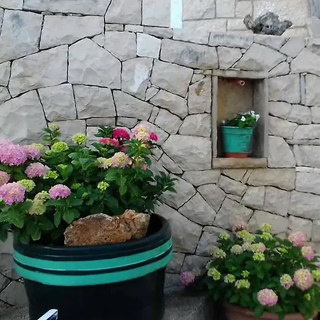 Flower Apartment